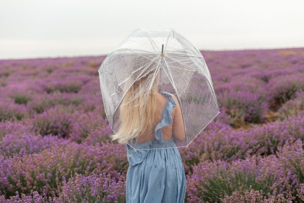 woman-transparent-umbrella-close-up-soft-focus-photo-rain-lavender-fields-3.jpg
